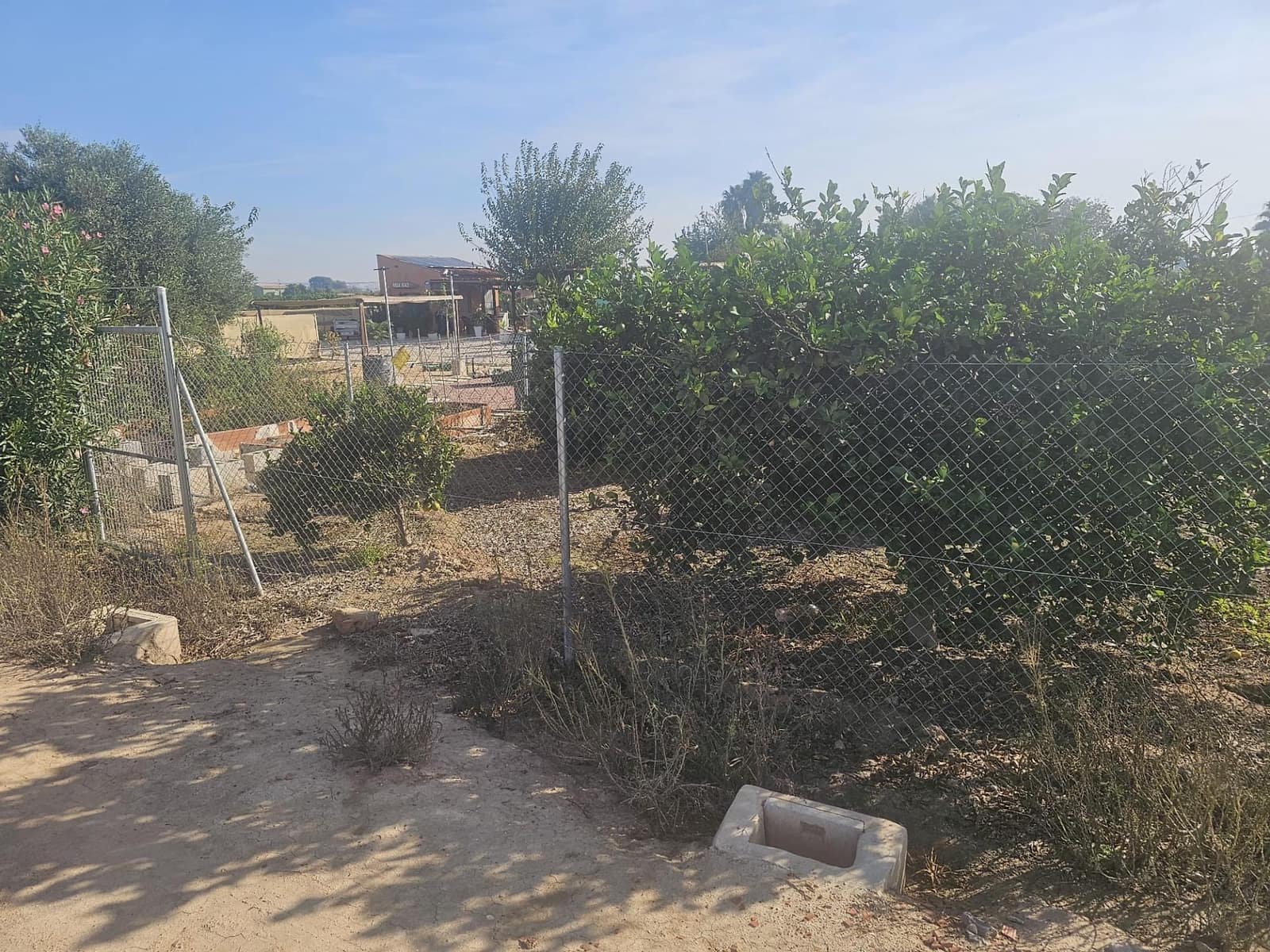 Undeveloped Land for sale in Rojales - € 79,000 (Ref: 9437874)