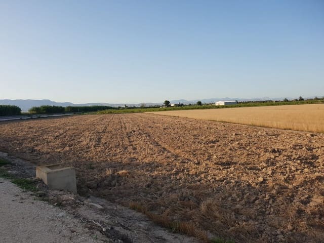 Terreno para Construção para venda em Dolores - 53 900 € (Ref: 9437877)