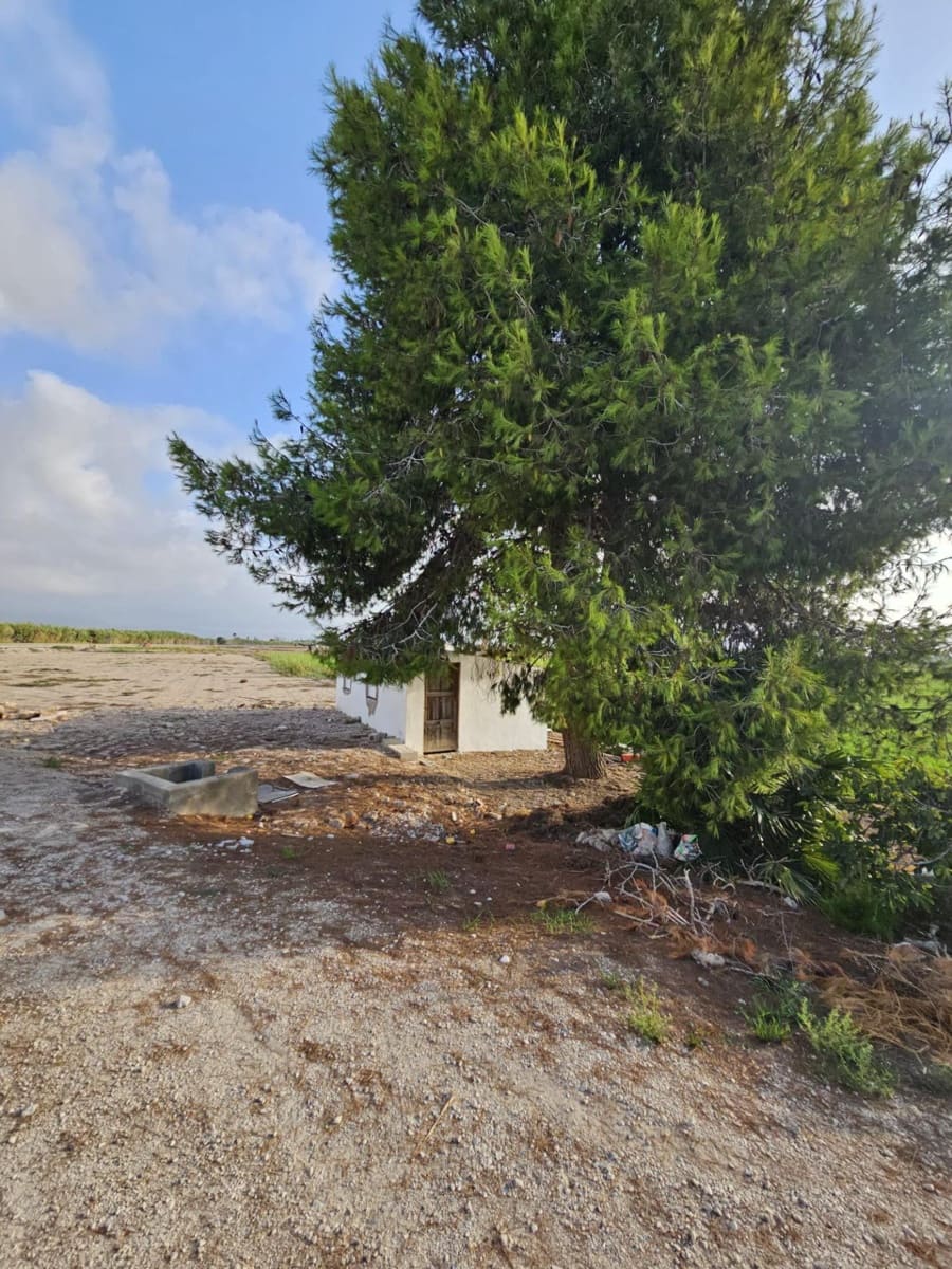 Terreno para Construção para venda em Dolores - 53 900 € (Ref: 9437877)