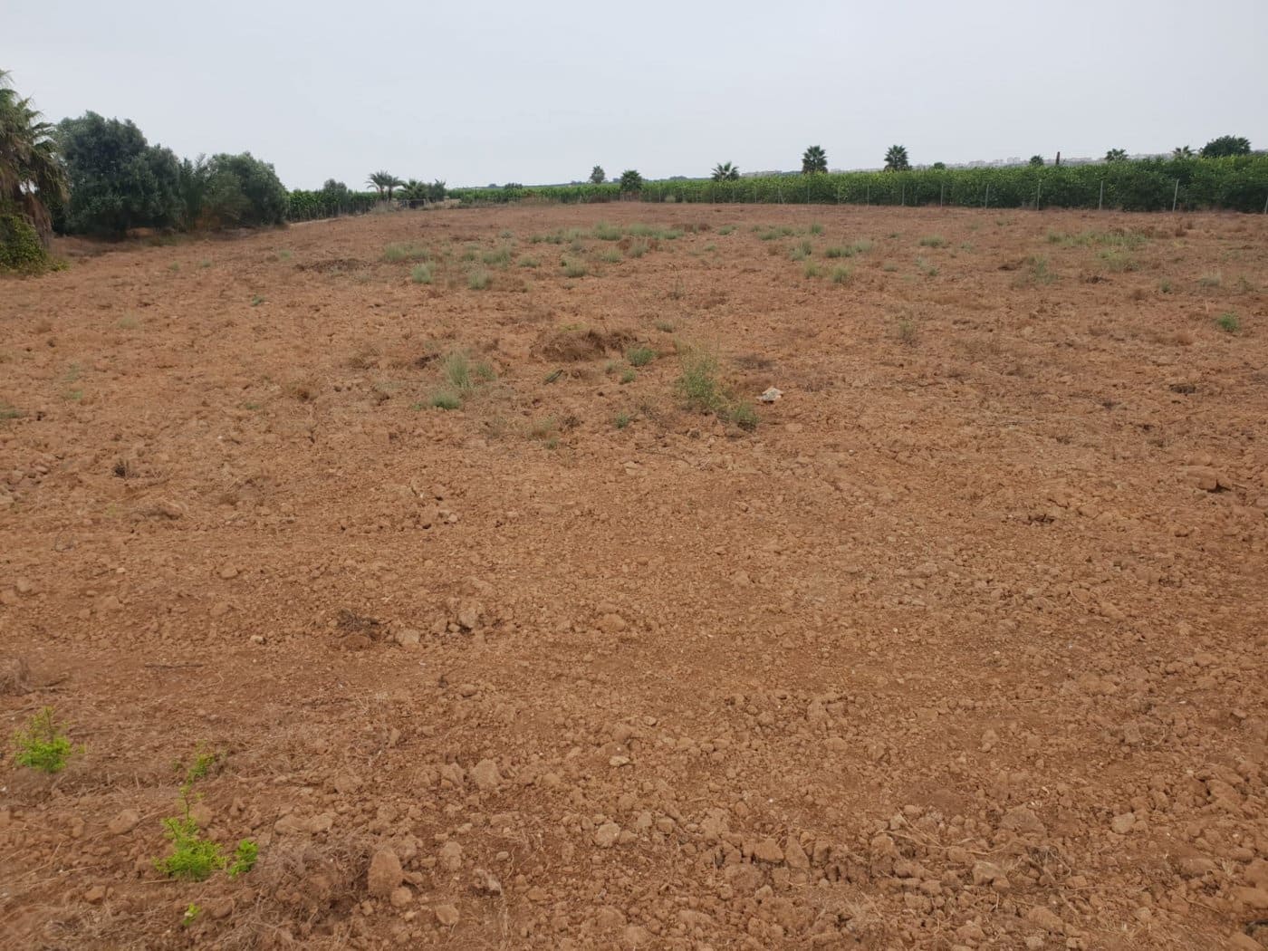 Grond te koop in Dolores - € 94.000 (Ref: 9437885)