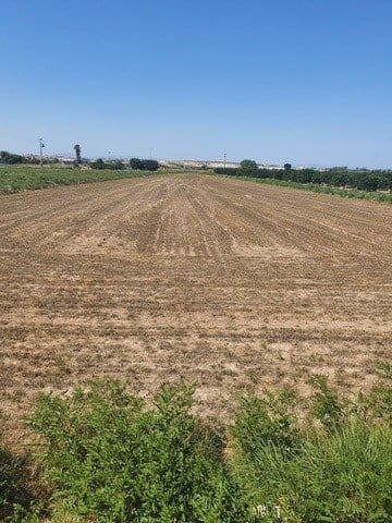 Rakentamaton maa myytävänä paikassa Rojales - 52 000 € (Ref: 9437888)