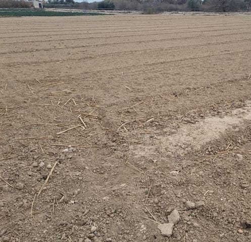 Grond te koop in Dolores - € 42.000 (Ref: 9437889)