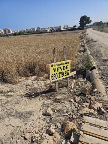 Ubebygd land til salgs i Guardamar del Segura - € 36 000 (Ref: 9437890)