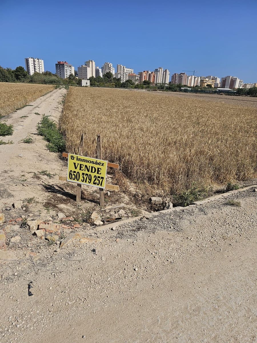 Ubebygd land til salgs i Guardamar del Segura - € 36 000 (Ref: 9437890)