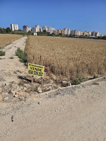 Ubebygd land til salgs i Guardamar del Segura - € 36 000 (Ref: 9437890)
