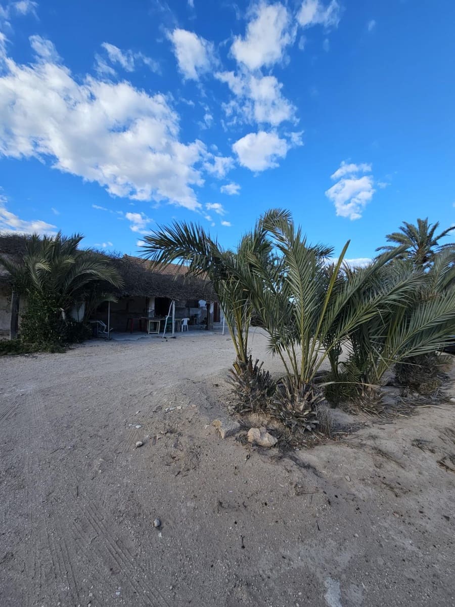 Finca/Country House for sale in Guardamar del Segura - € 175,000 (Ref: 9437894)