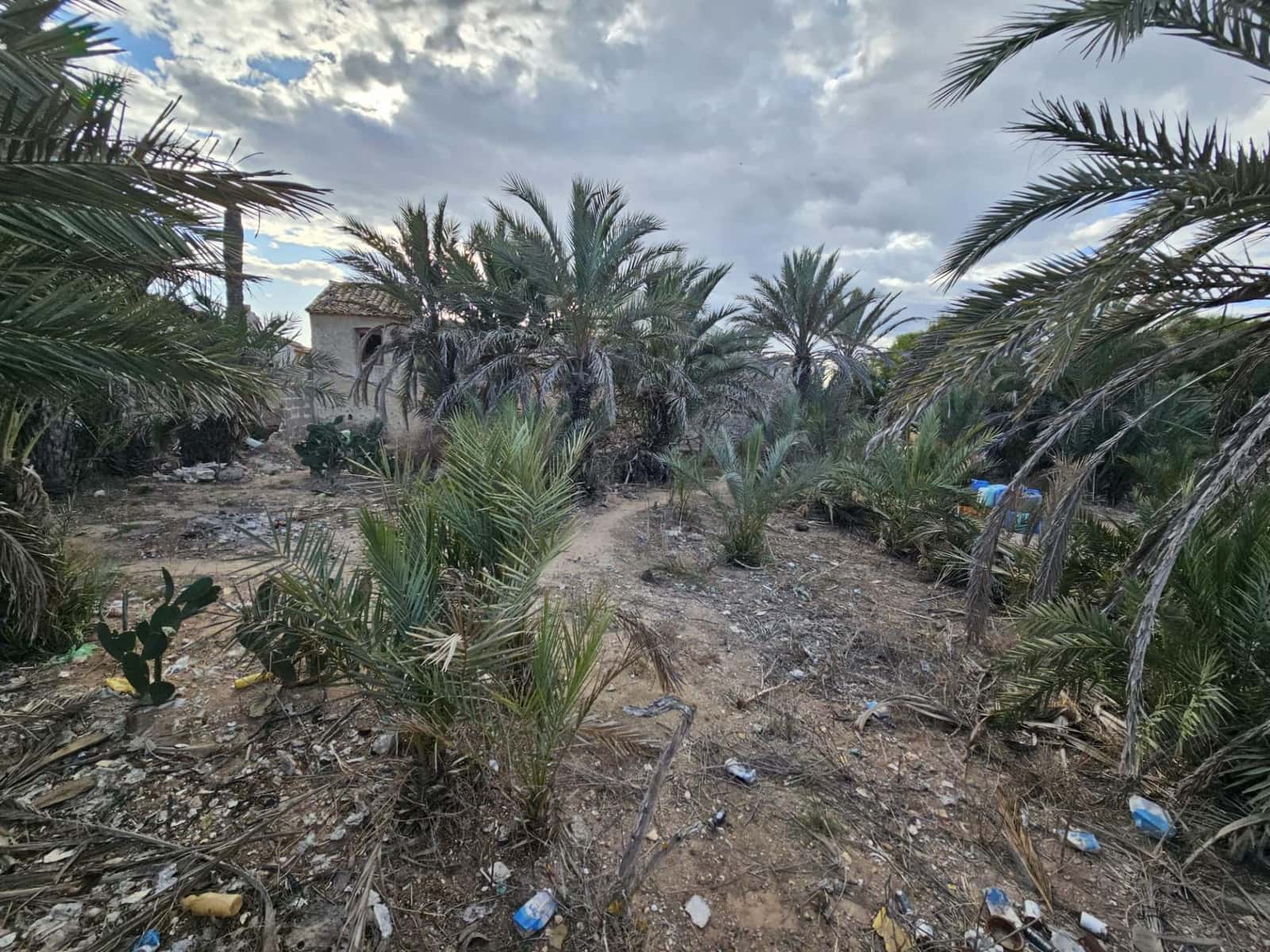 Finca/Country House for sale in Guardamar del Segura - € 175,000 (Ref: 9437894)