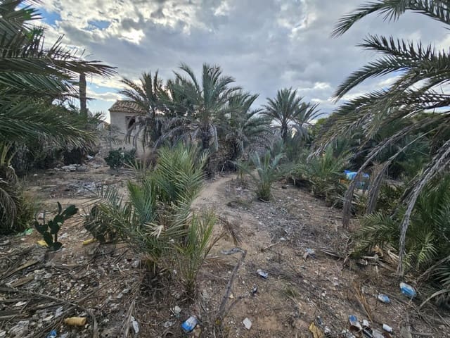 Finca/Country House for sale in Guardamar del Segura - € 175,000 (Ref: 9437894)