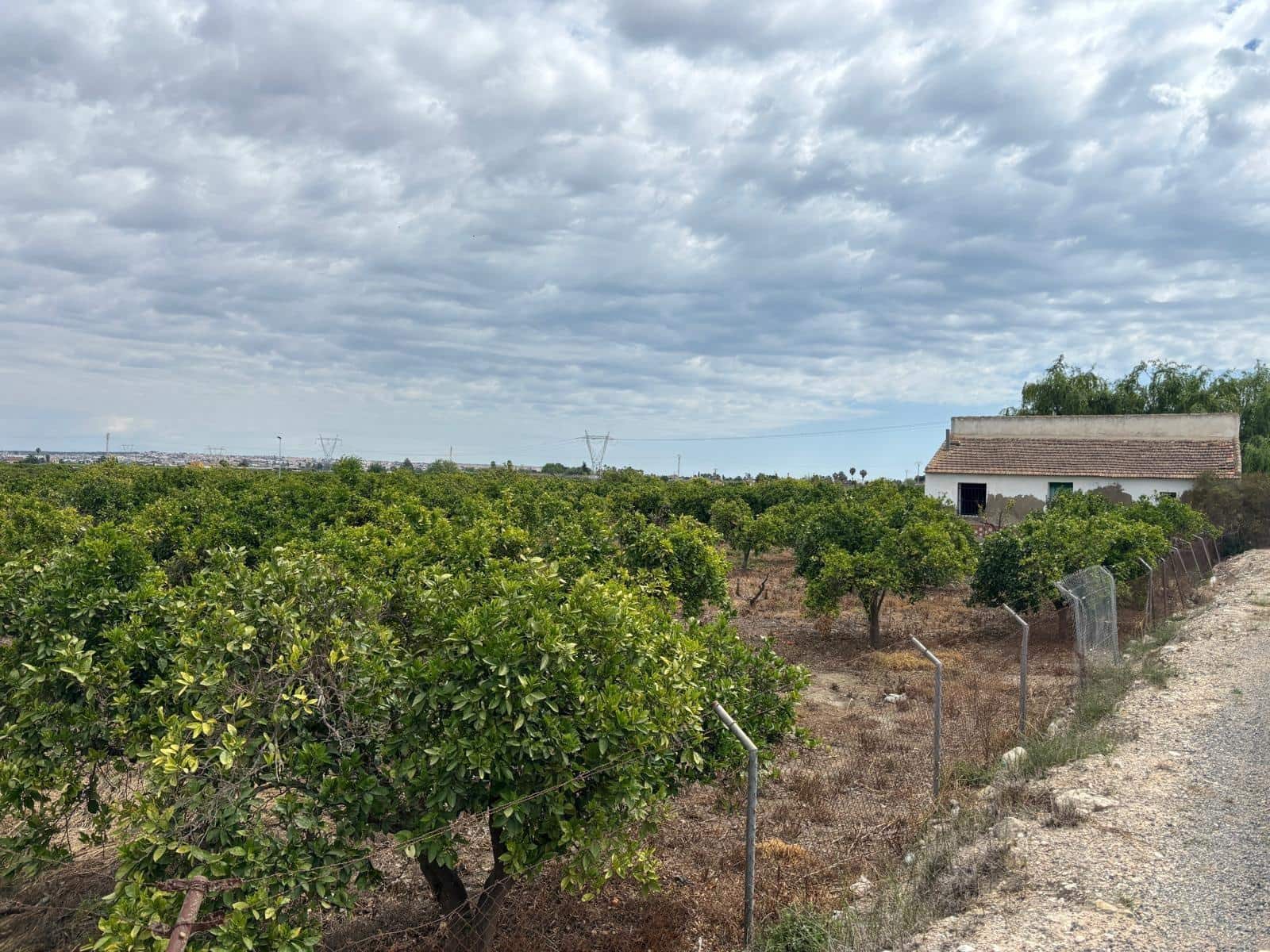 Finca/Country House for sale in Guardamar del Segura - € 214,000 (Ref: 9437899)