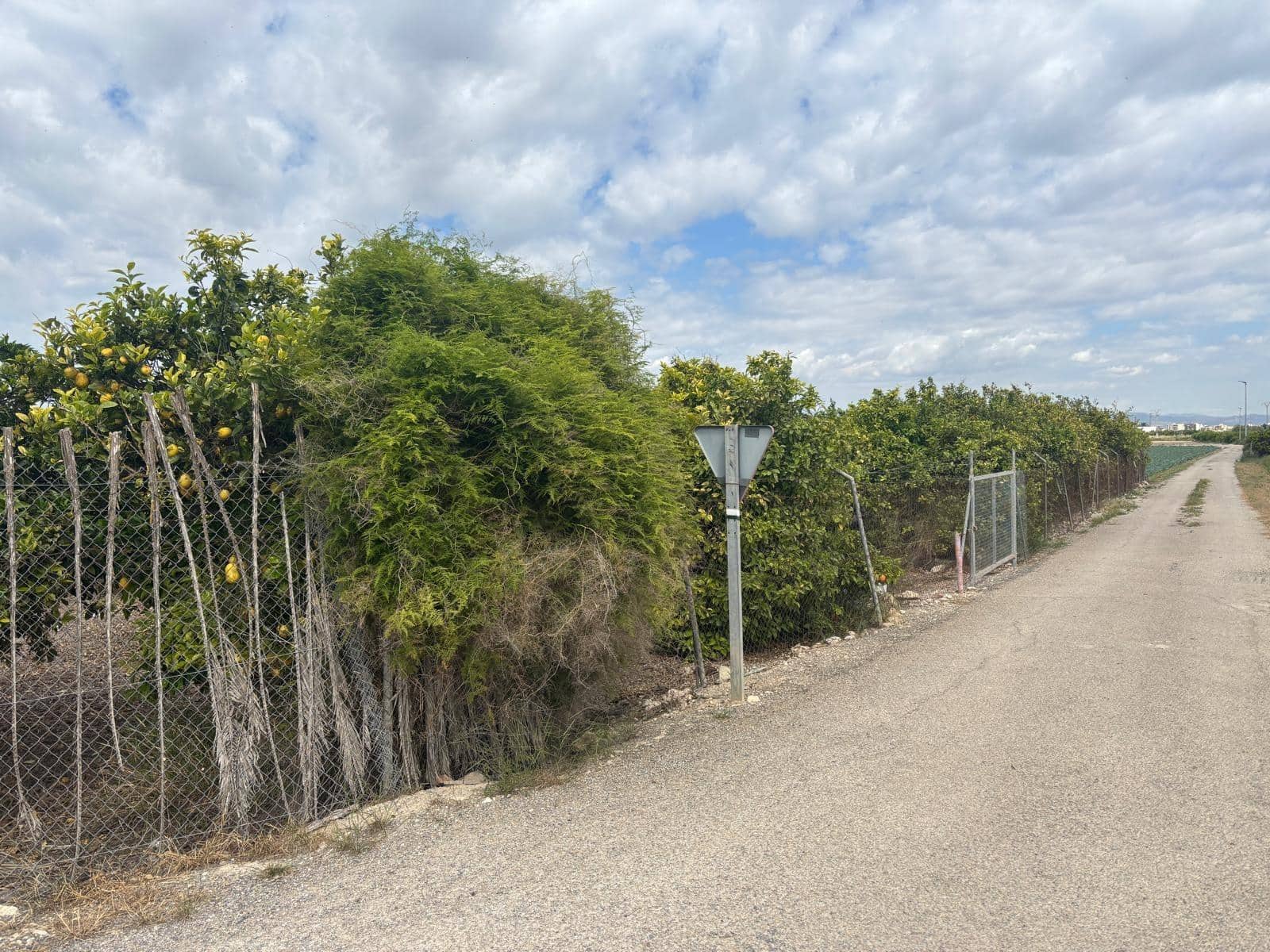 Finca/Country House for sale in Guardamar del Segura - € 214,000 (Ref: 9437899)