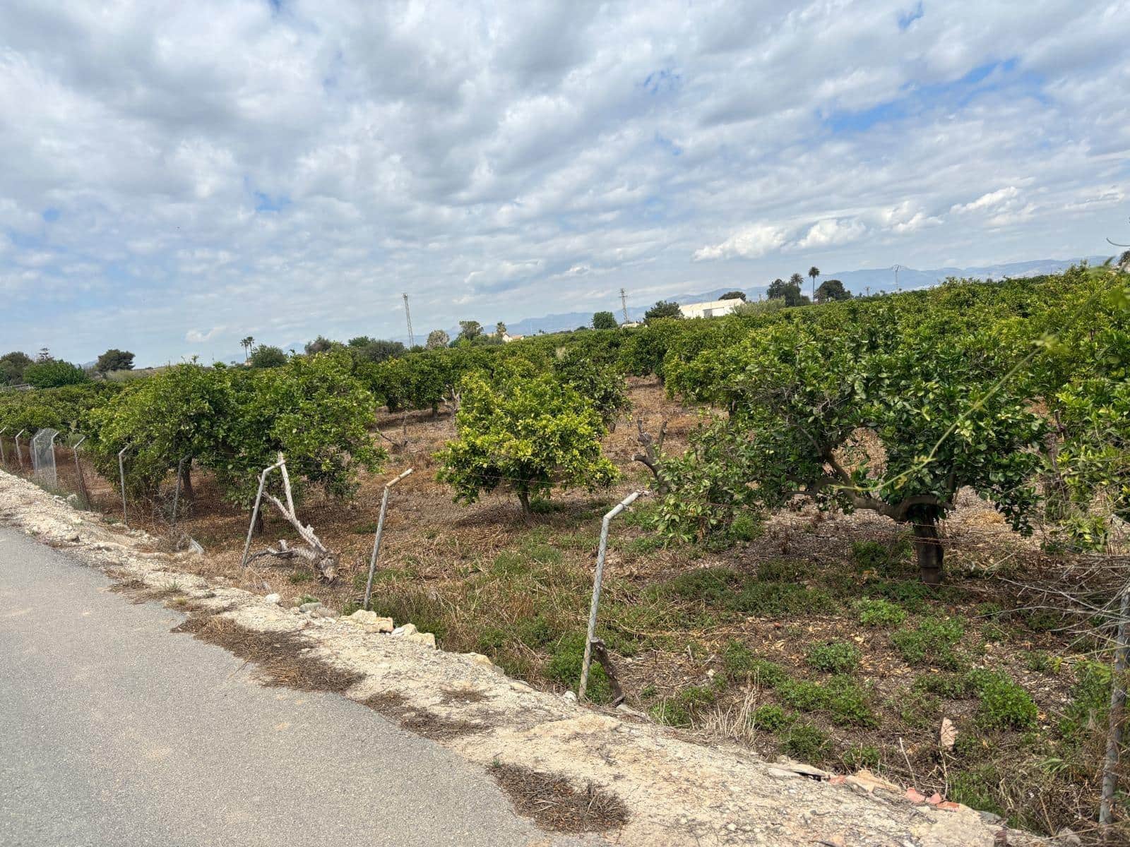 Finca/Country House for sale in Guardamar del Segura - € 214,000 (Ref: 9437899)