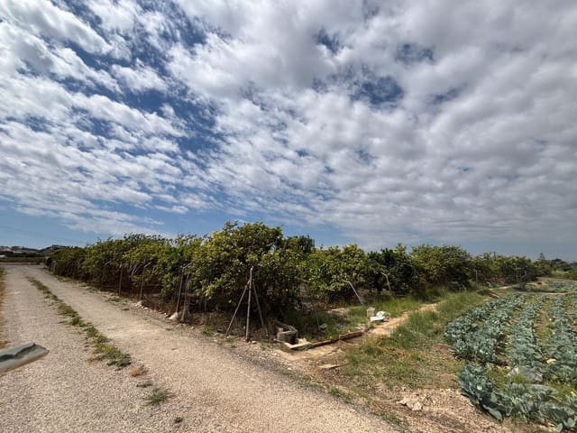 Quinta/Casa Rural para venda em Guardamar del Segura - 214 000 € (Ref: 9437899)