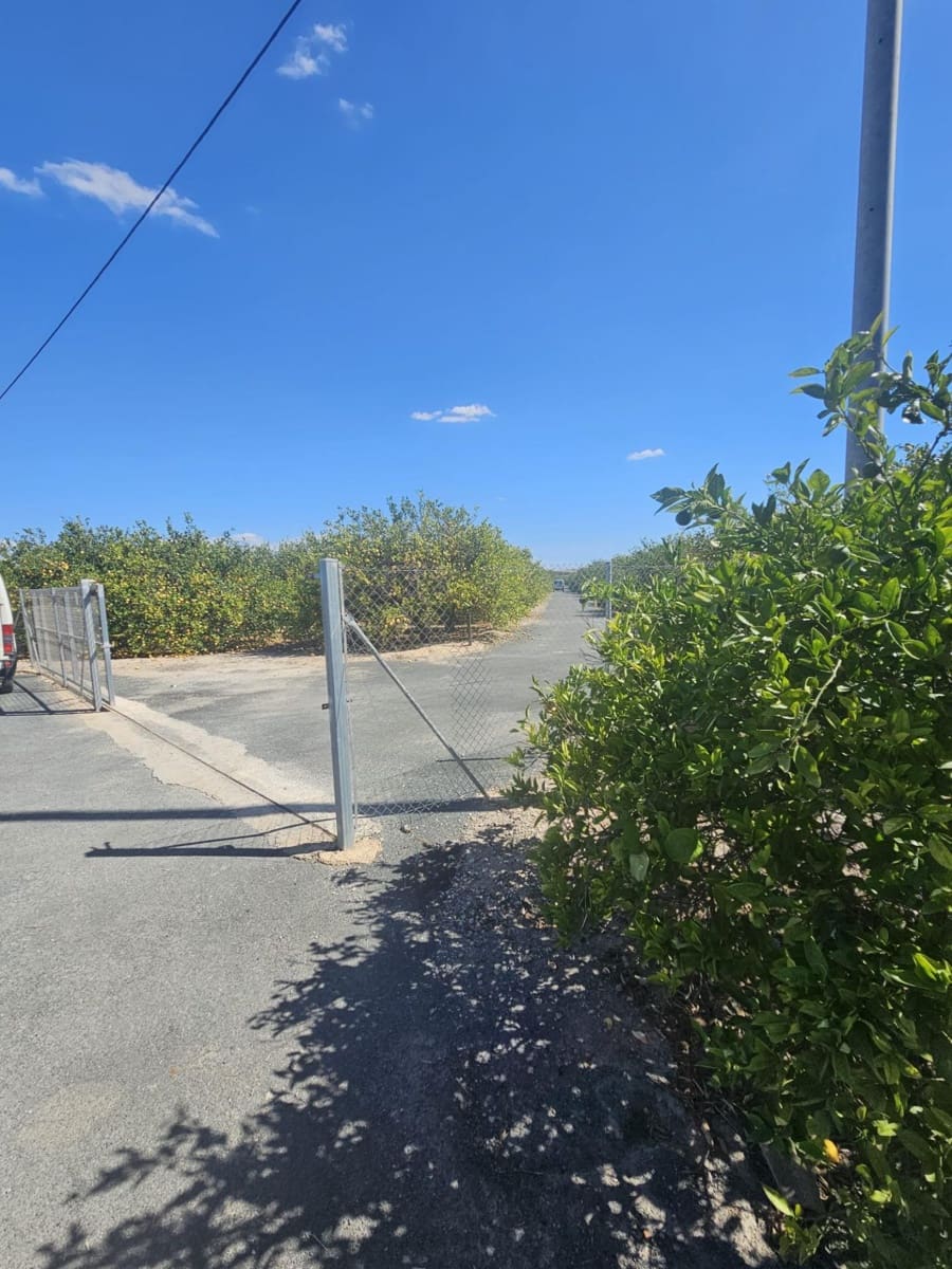 Terre non Aménagée à vendre à Los Montesinos - 500 000 € (Ref: 9437901)