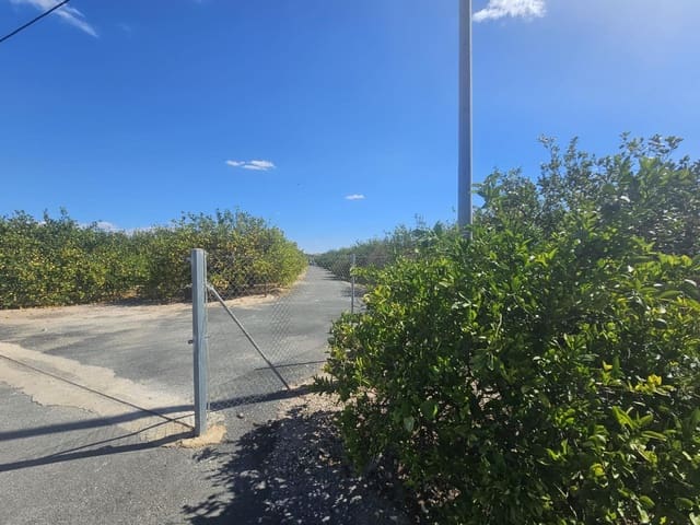 Terre non Aménagée à vendre à Los Montesinos - 500 000 € (Ref: 9437901)