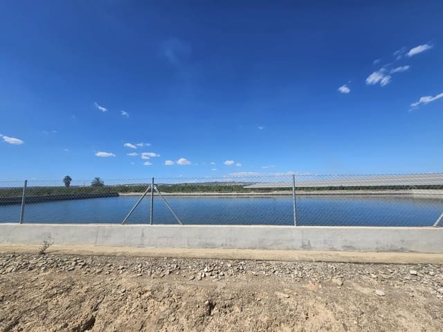 Terreno Não Urbanizado para venda em Los Montesinos - 500 000 € (Ref: 9437901)