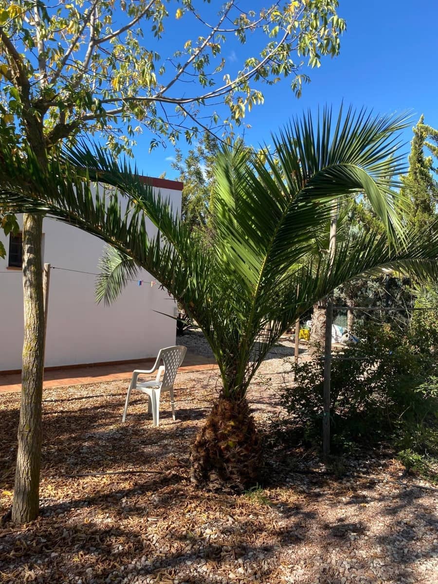 3 bedroom Finca/Country House for sale in Bullas with garage - € 270,000 (Ref: 9437905)