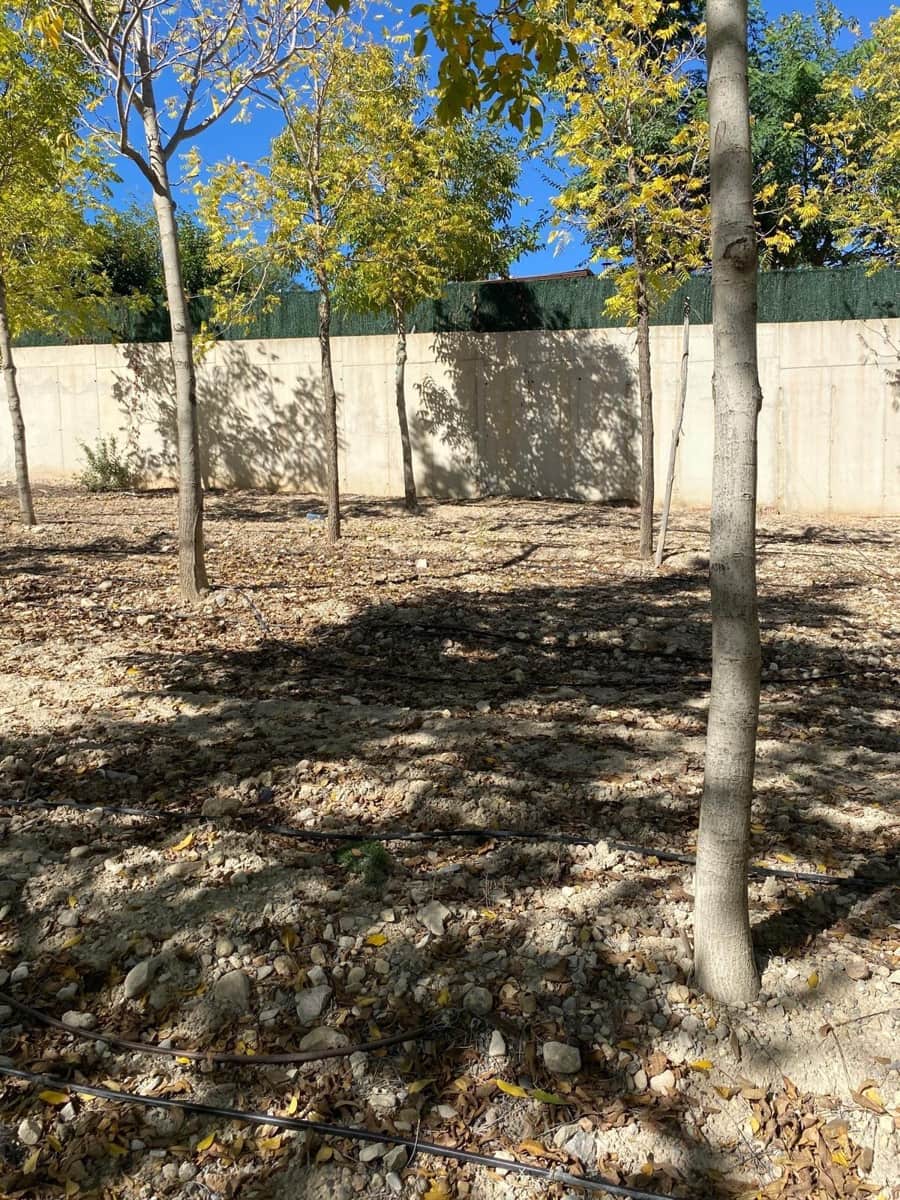 3 bedroom Finca/Country House for sale in Bullas with garage - € 270,000 (Ref: 9437905)