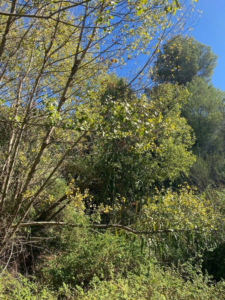 3 bedroom Finca/Country House for sale in Bullas with garage - € 270,000 (Ref: 9437905)