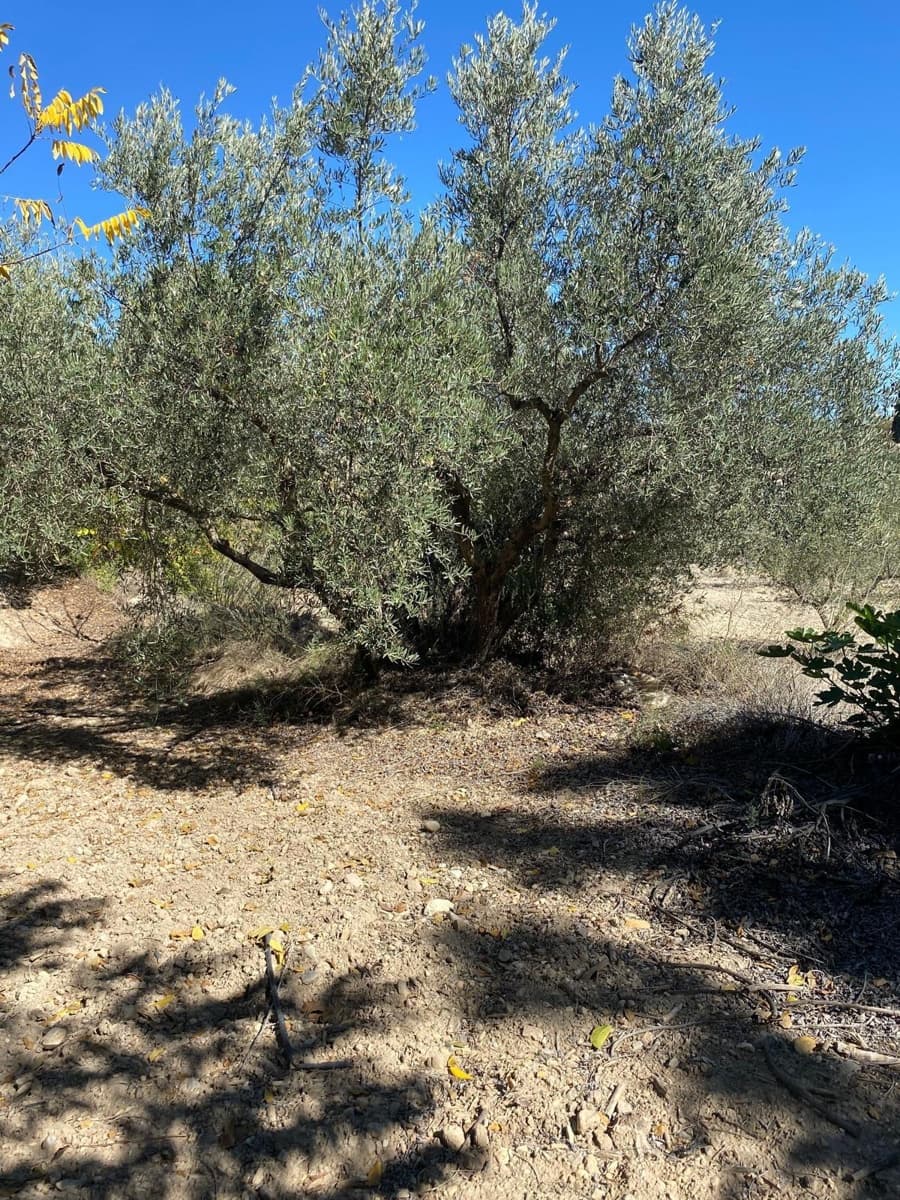 3 bedroom Finca/Country House for sale in Bullas with garage - € 270,000 (Ref: 9437905)