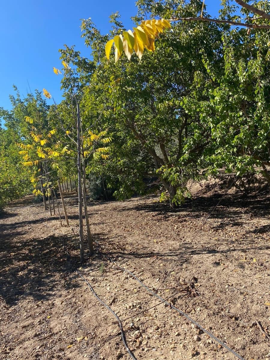 3 bedroom Finca/Country House for sale in Bullas with garage - € 270,000 (Ref: 9437905)
