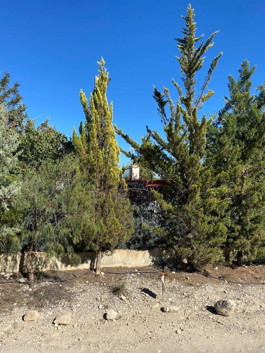 3 bedroom Finca/Country House for sale in Bullas with garage - € 270,000 (Ref: 9437905)