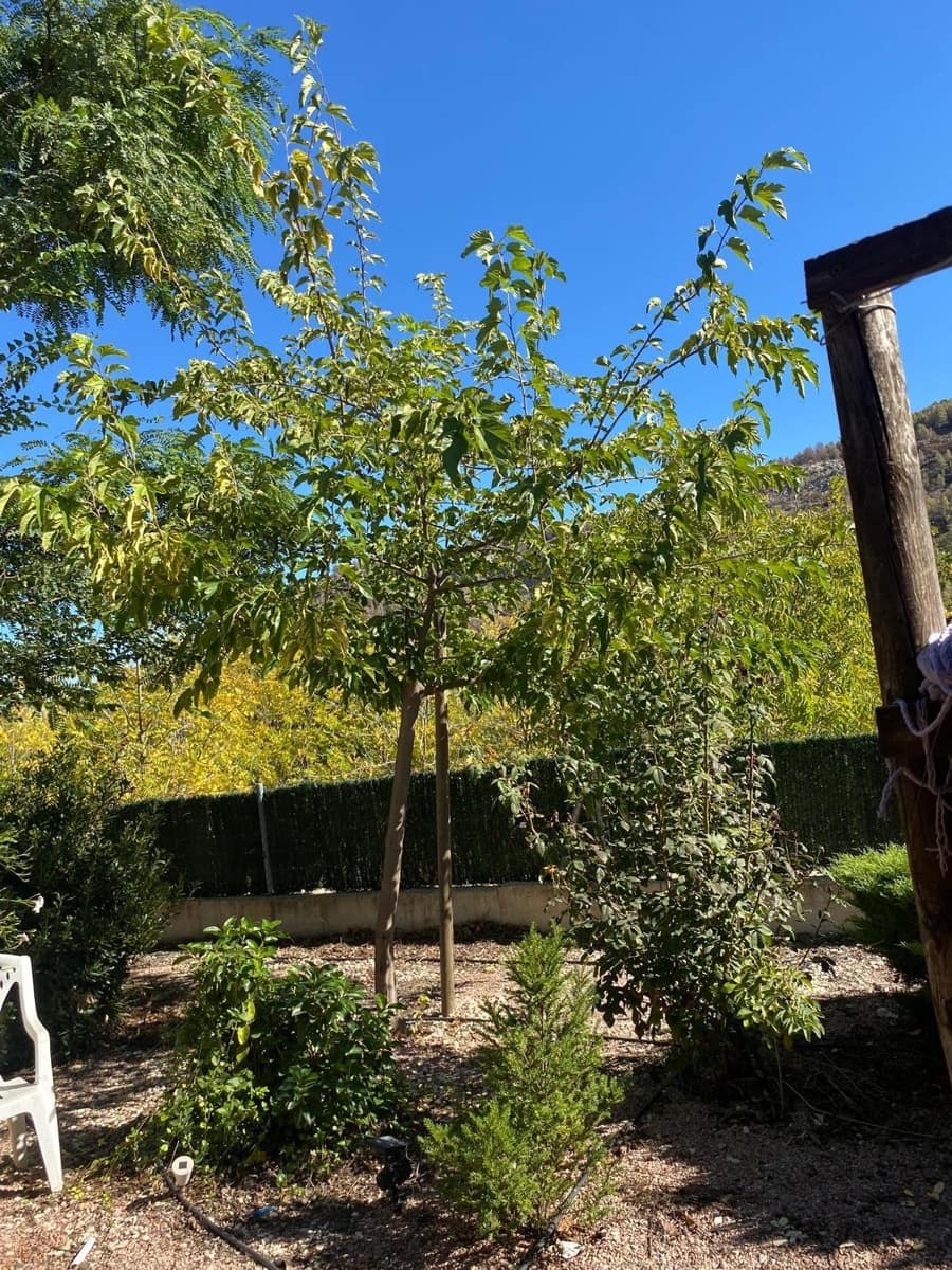 3 bedroom Finca/Country House for sale in Bullas with garage - € 270,000 (Ref: 9437905)