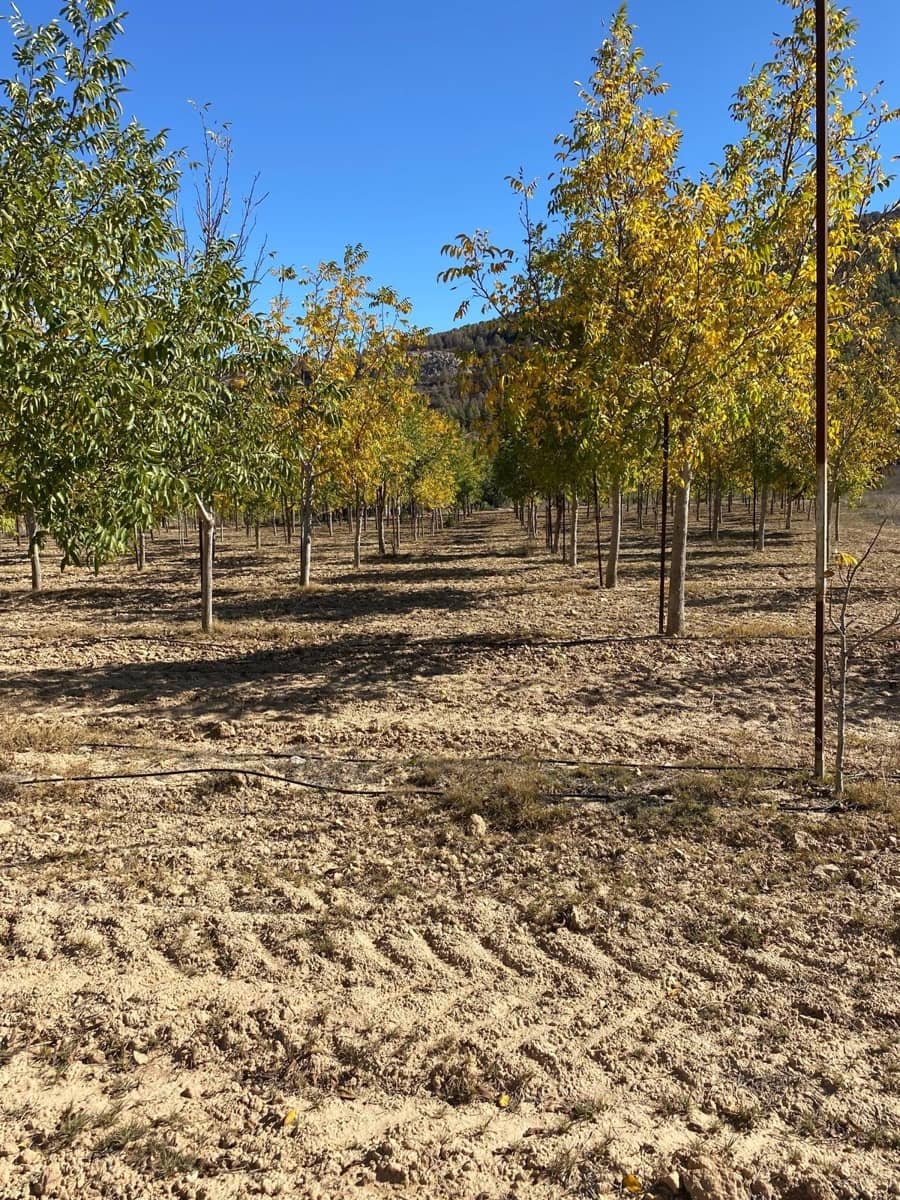 3 bedroom Finca/Country House for sale in Bullas with garage - € 270,000 (Ref: 9437905)