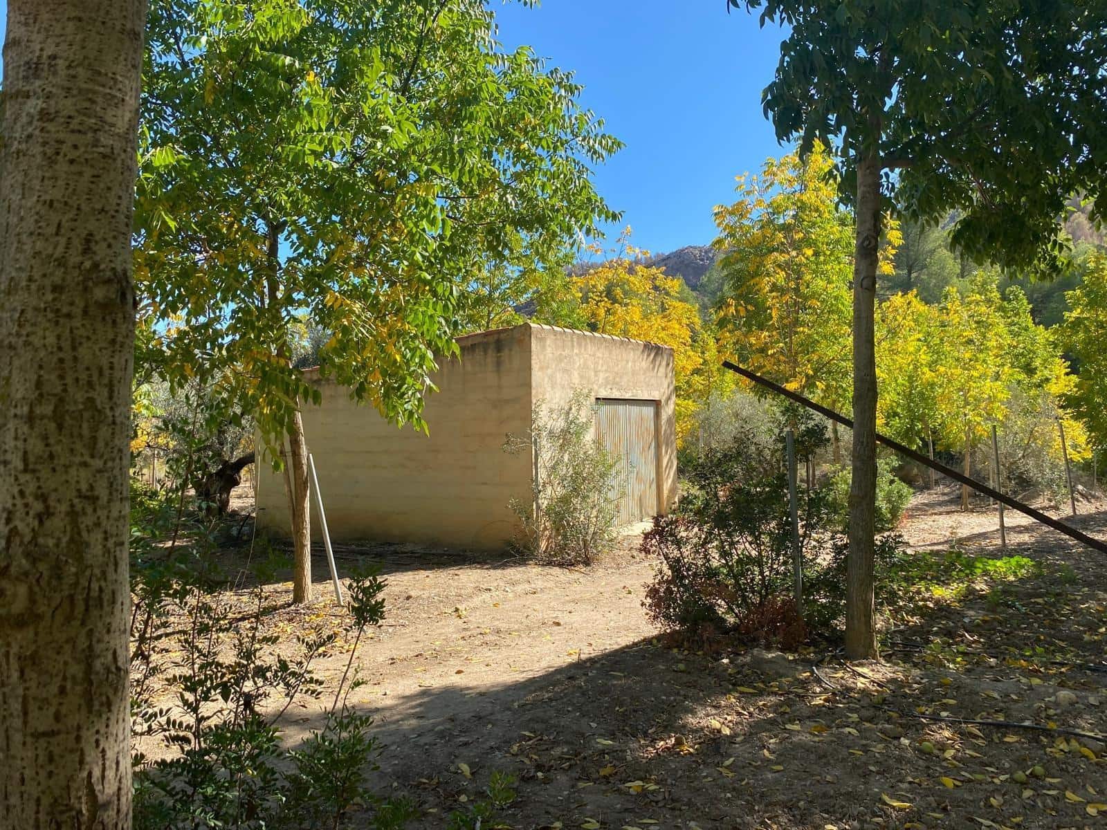 3 bedroom Finca/Country House for sale in Bullas with garage - € 270,000 (Ref: 9437905)