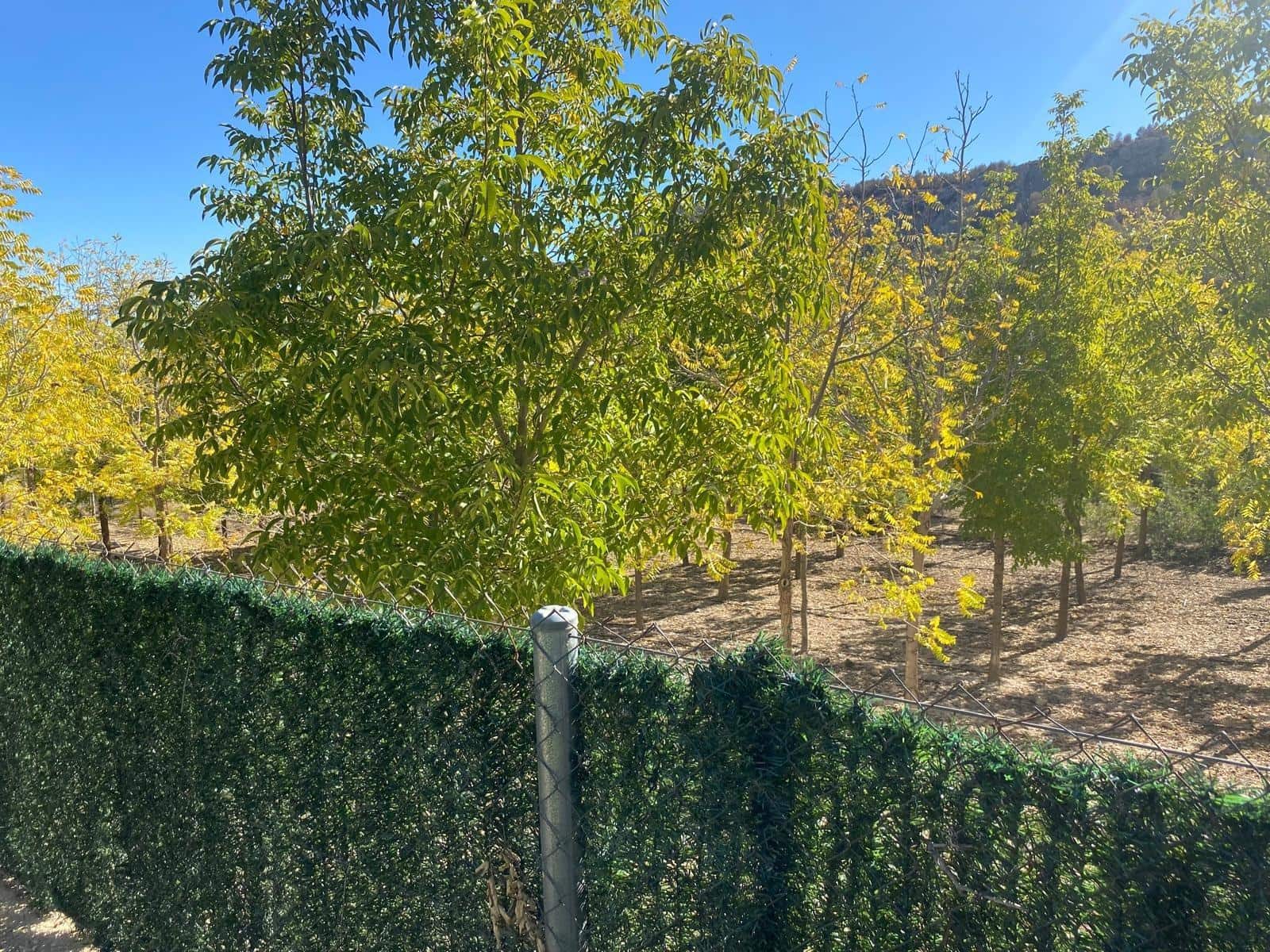 3 bedroom Finca/Country House for sale in Bullas with garage - € 270,000 (Ref: 9437905)