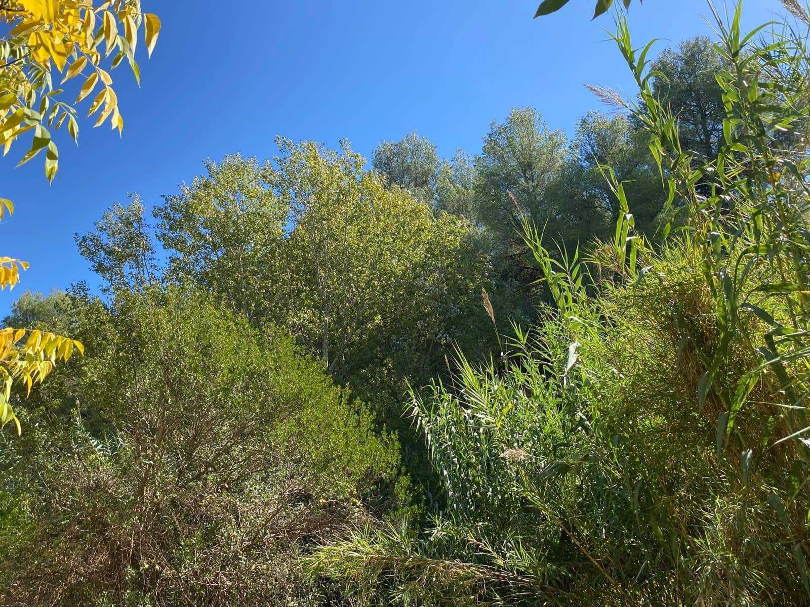 3 bedroom Finca/Country House for sale in Bullas with garage - € 270,000 (Ref: 9437905)