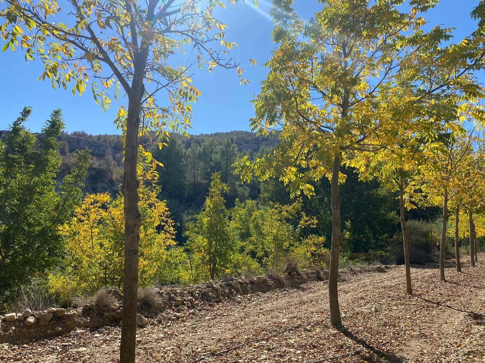 3 bedroom Finca/Country House for sale in Bullas with garage - € 270,000 (Ref: 9437905)