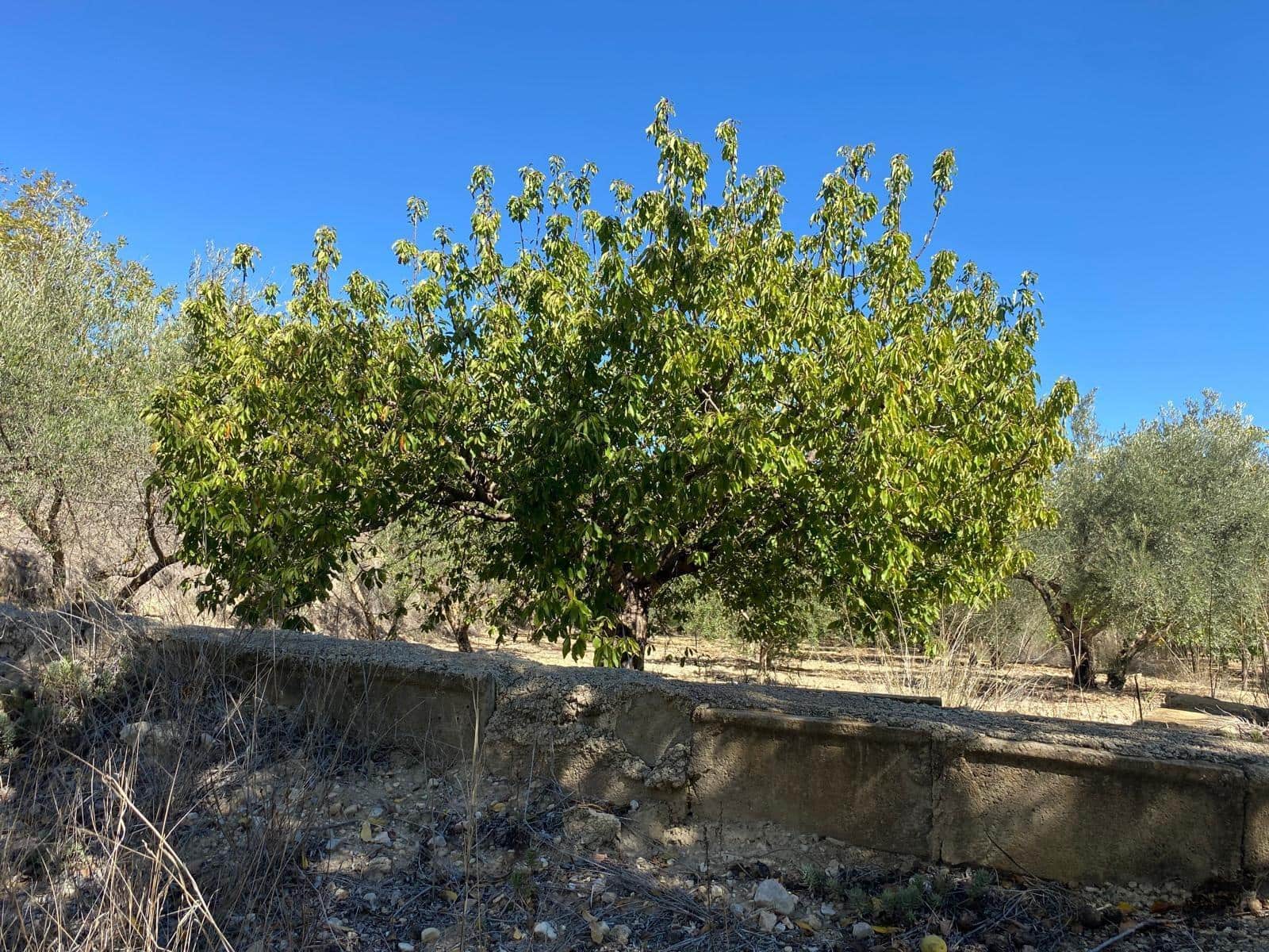 3 bedroom Finca/Country House for sale in Bullas with garage - € 270,000 (Ref: 9437905)