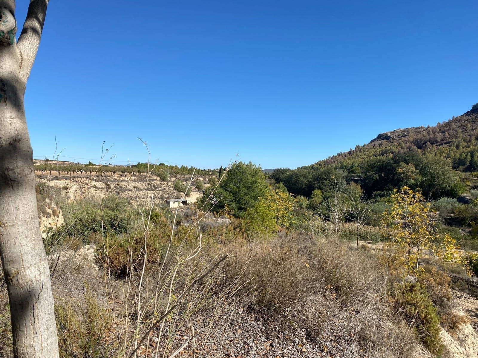 3 bedroom Finca/Country House for sale in Bullas with garage - € 270,000 (Ref: 9437905)