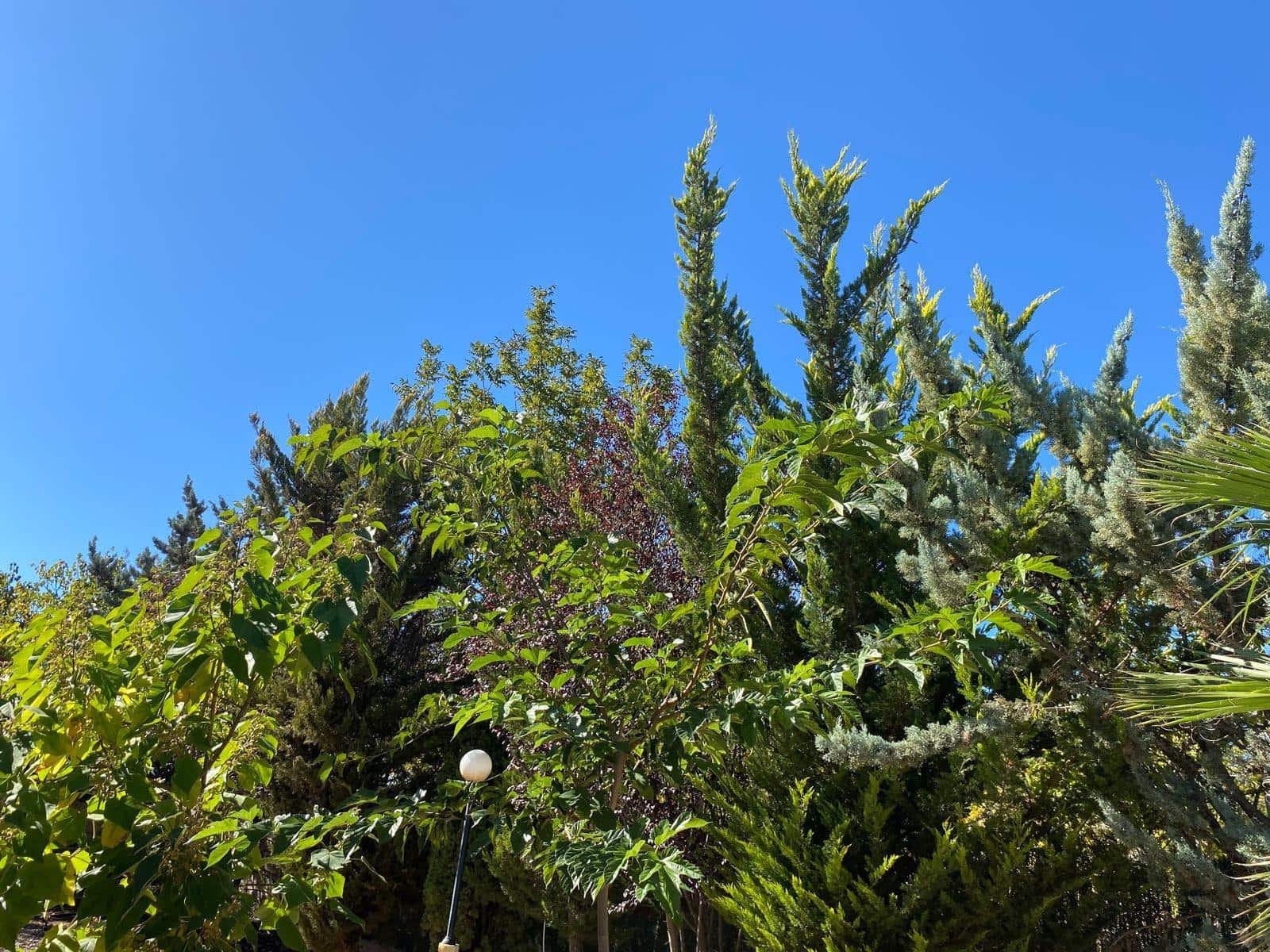 3 bedroom Finca/Country House for sale in Bullas with garage - € 270,000 (Ref: 9437905)