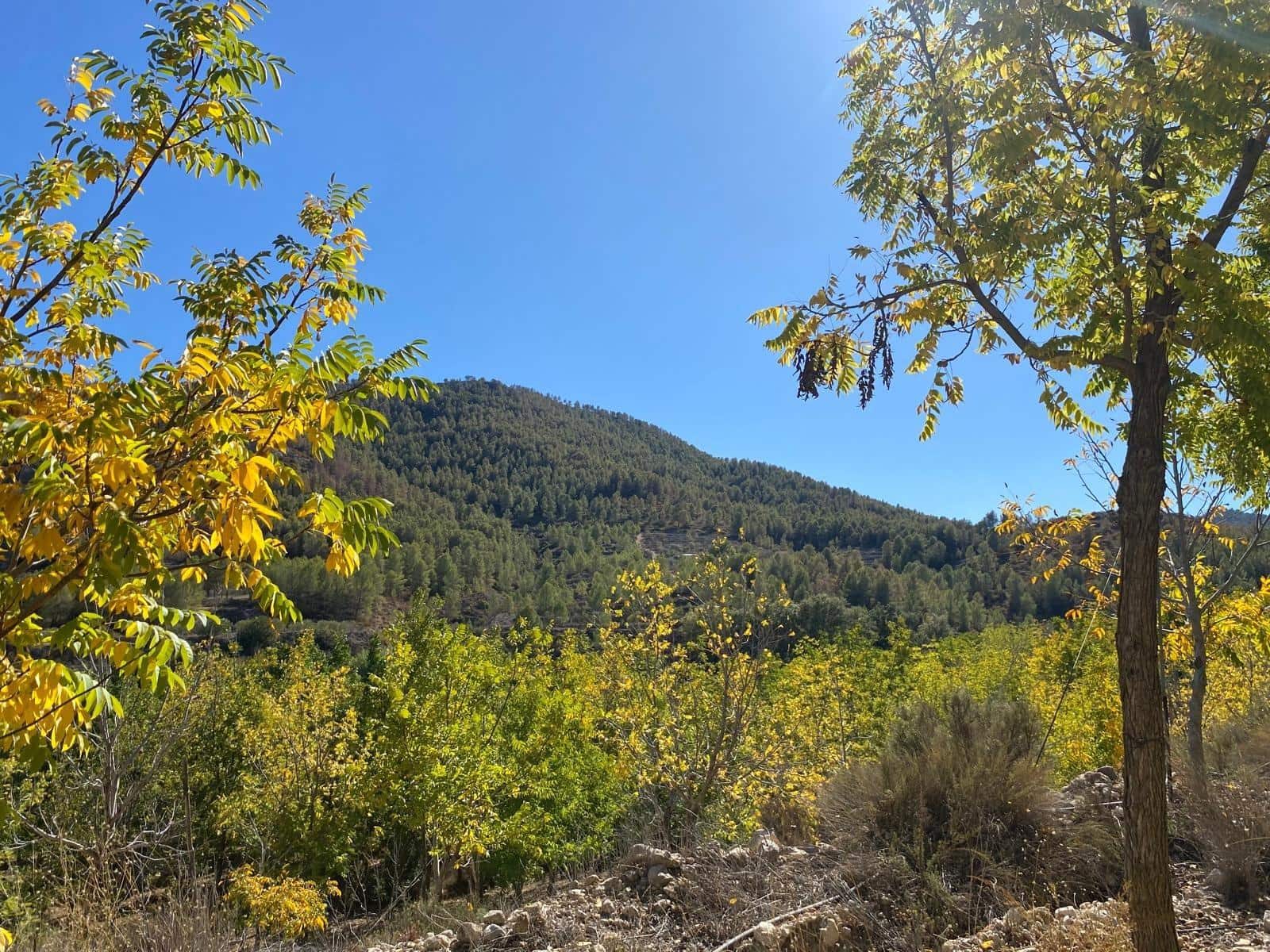 3 bedroom Finca/Country House for sale in Bullas with garage - € 270,000 (Ref: 9437905)