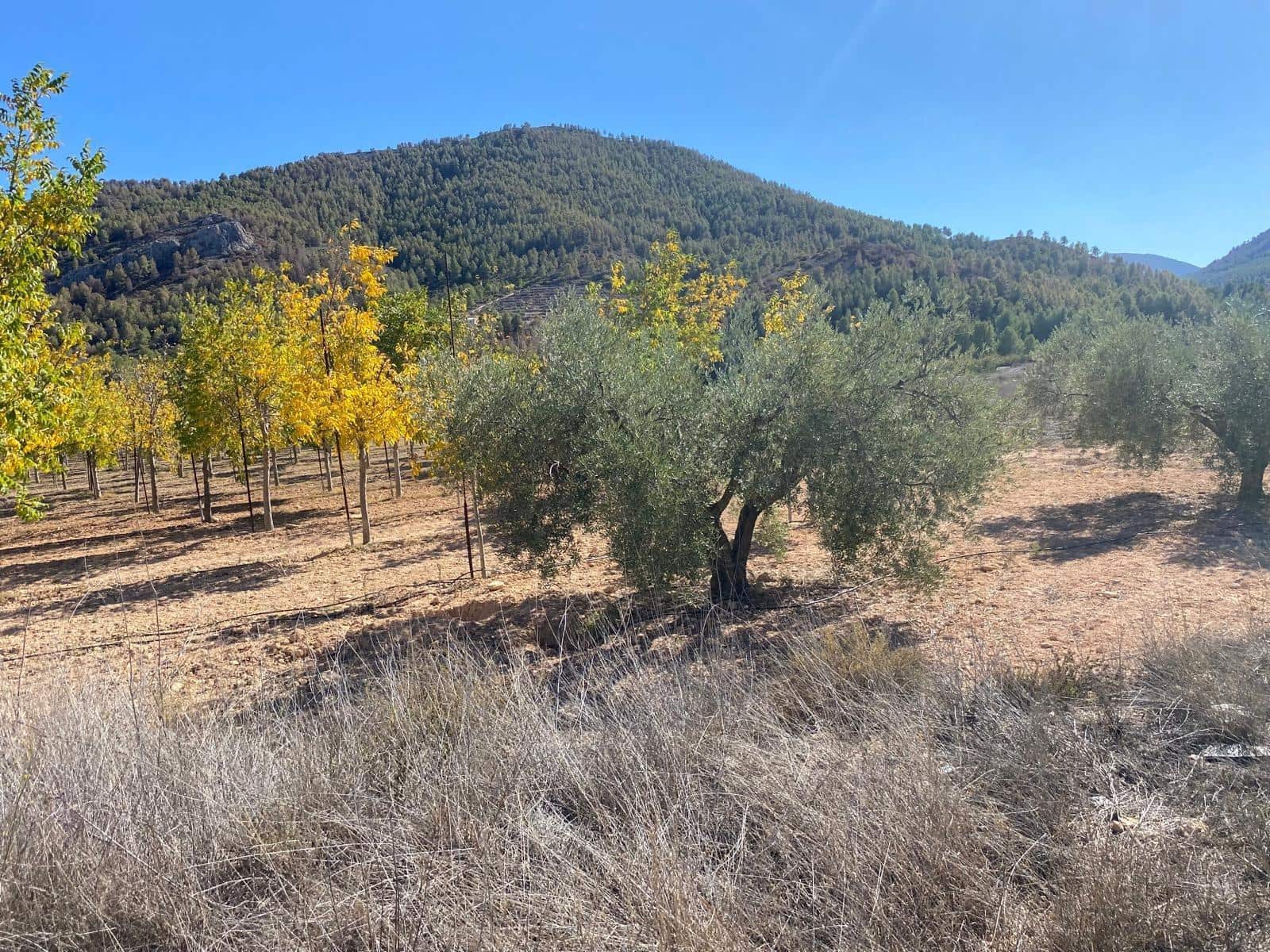 3 bedroom Finca/Country House for sale in Bullas with garage - € 270,000 (Ref: 9437905)