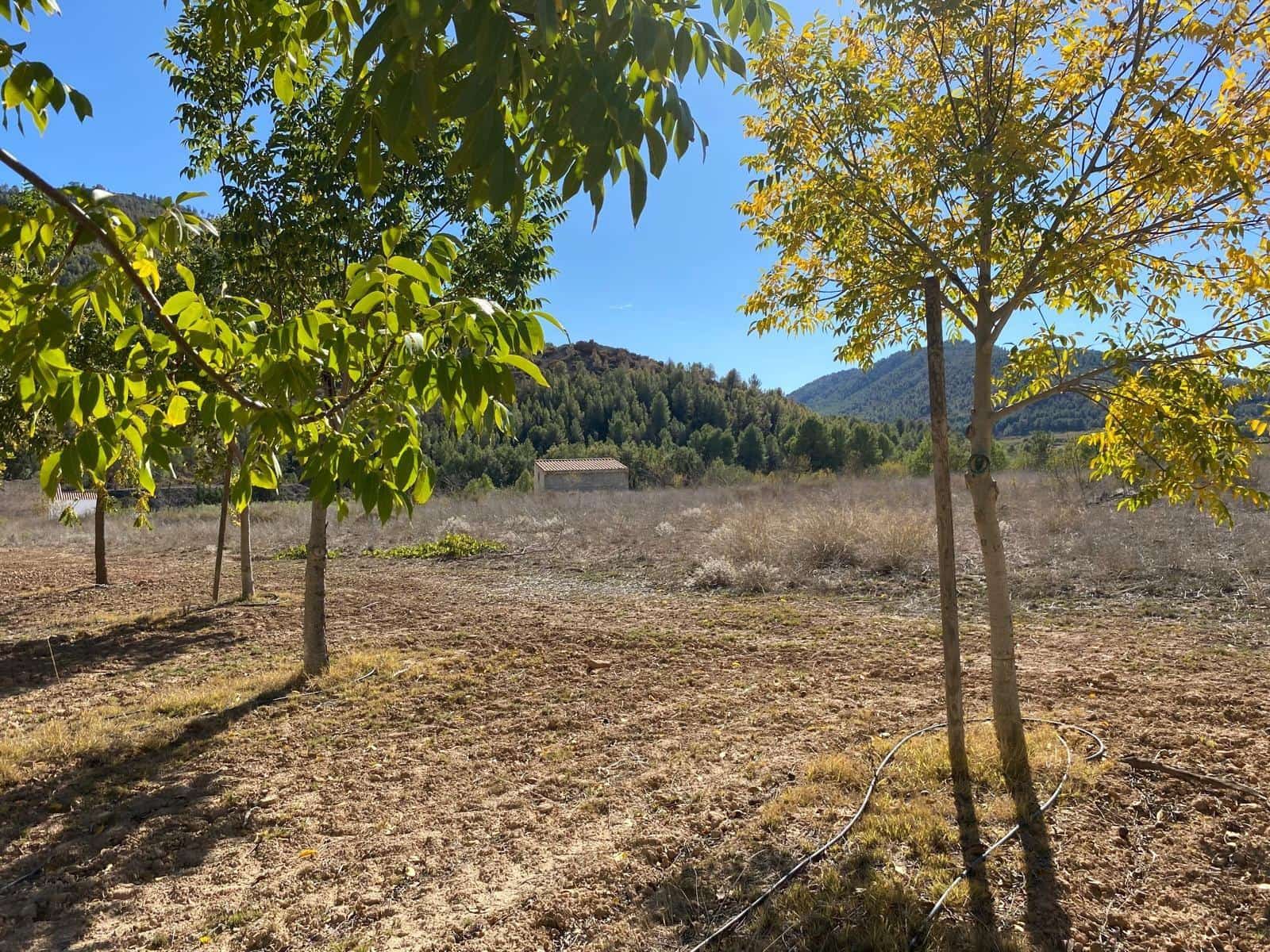 3 bedroom Finca/Country House for sale in Bullas with garage - € 270,000 (Ref: 9437905)