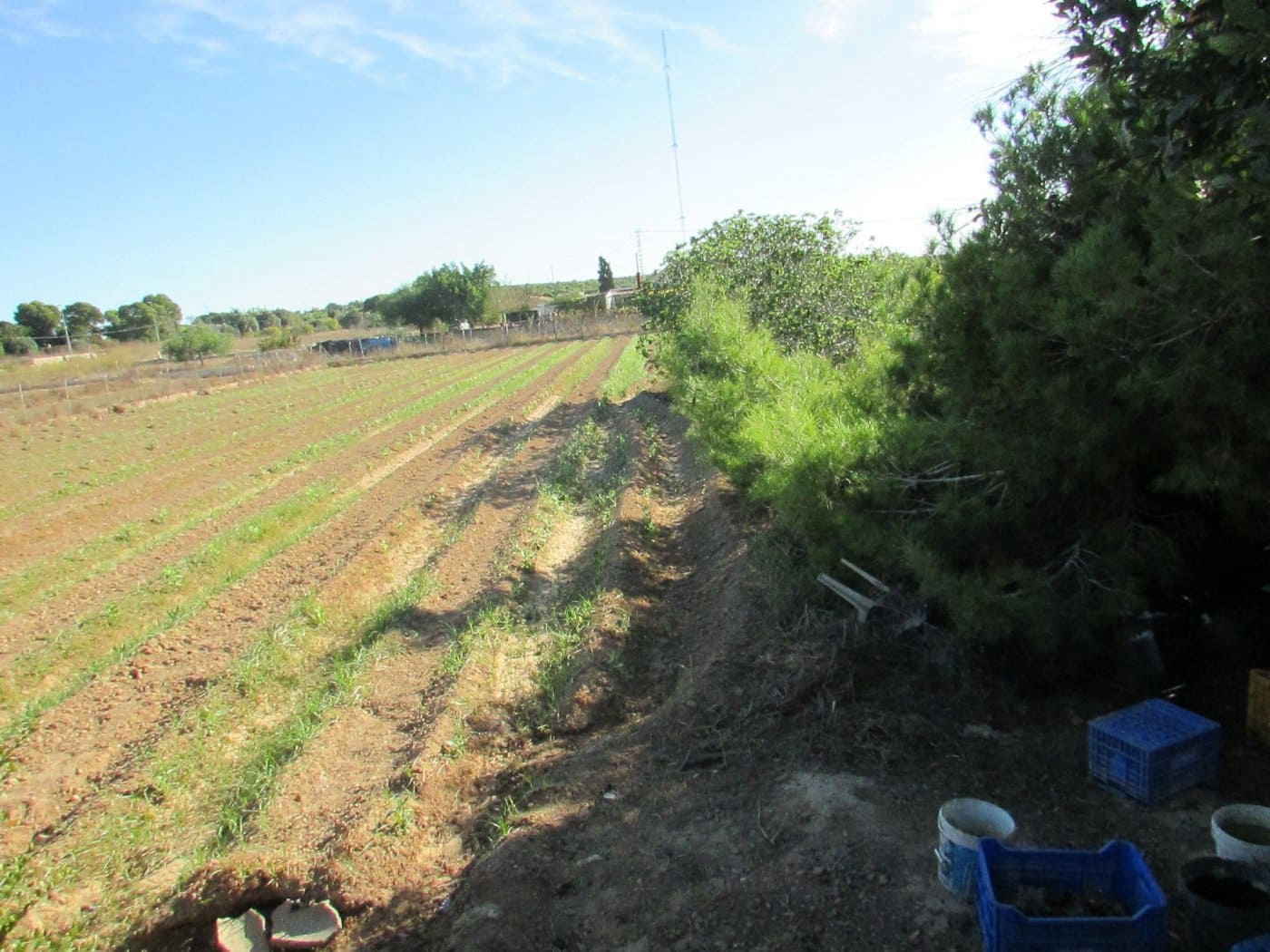 Solar/Parcela en Guardamar del Segura en venta - 124.000 € (Ref: 9437912)