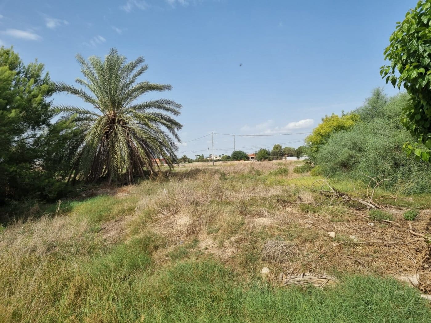 Finca/Country House for sale in Dolores - € 135,000 (Ref: 9437914)