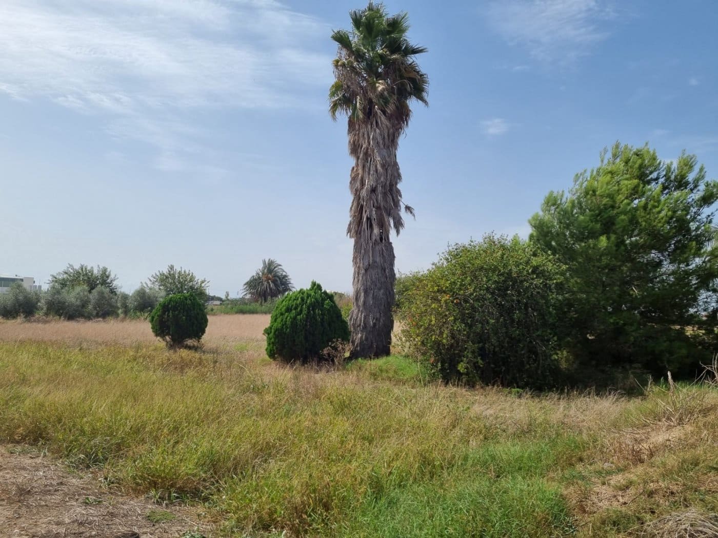 Finca/Country House for sale in Dolores - € 135,000 (Ref: 9437914)