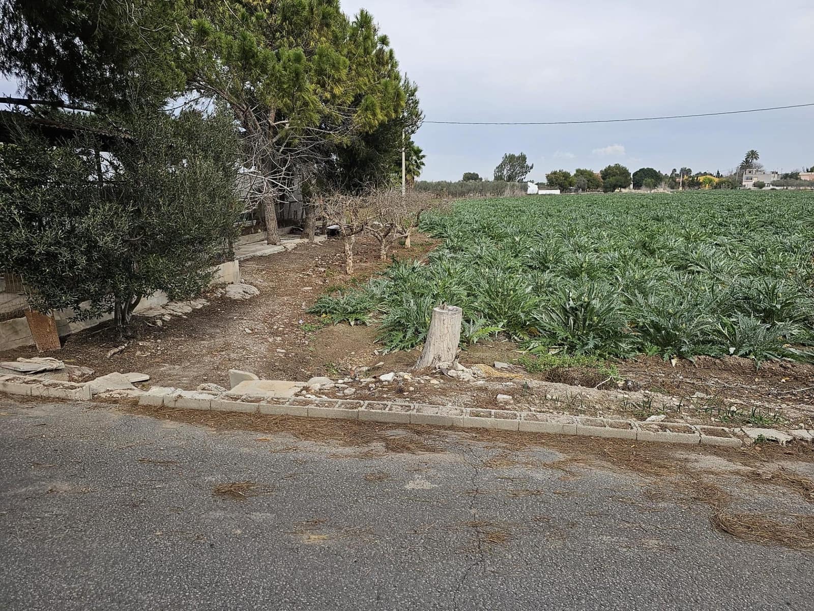 4 Zimmer Finca/Landgut zu verkaufen in Dolores mit Pool - 390.000 € (Ref: 9437918)