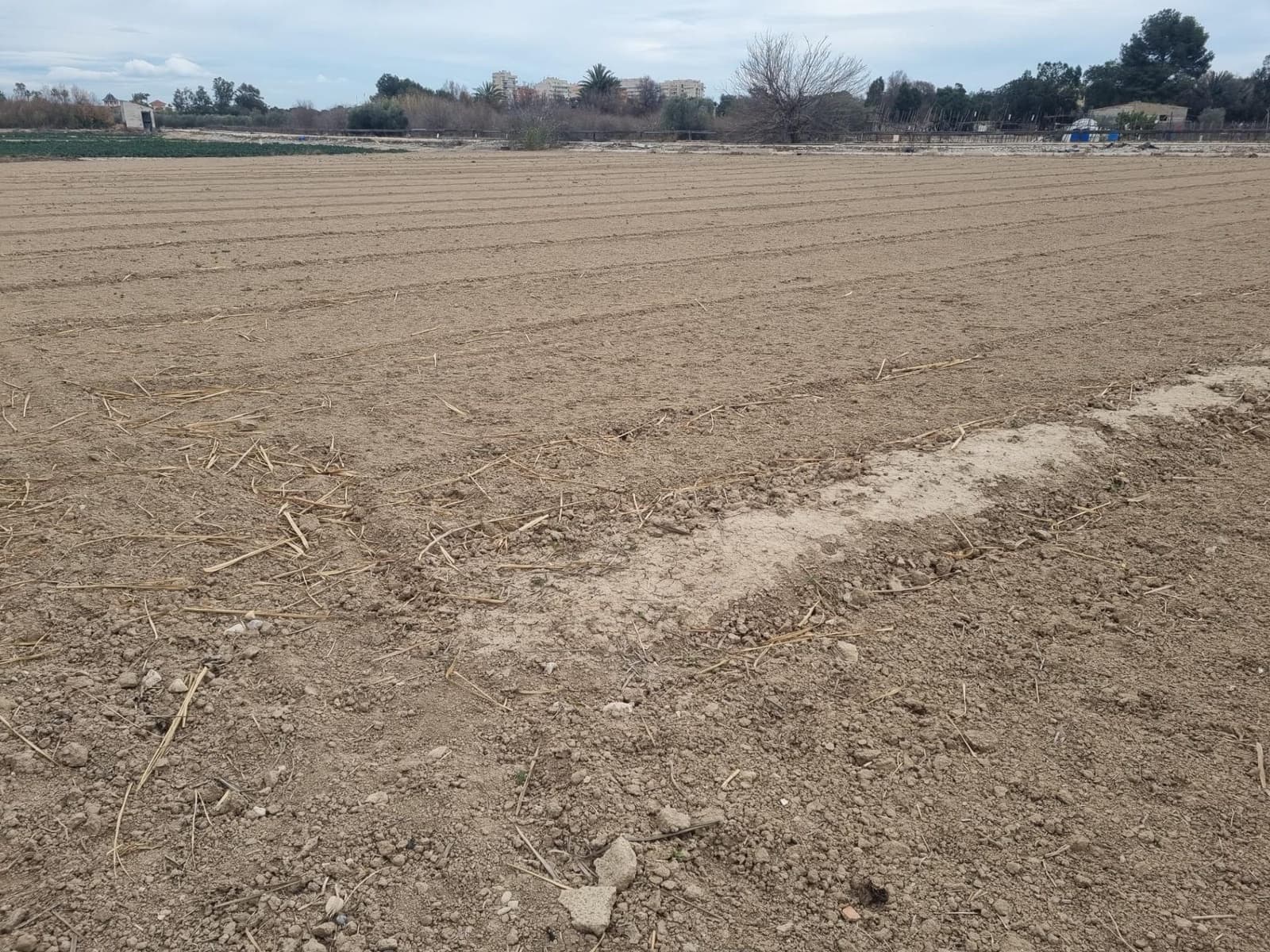 Ubebygd land til salgs i Guardamar del Segura - € 45 000 (Ref: 9437921)