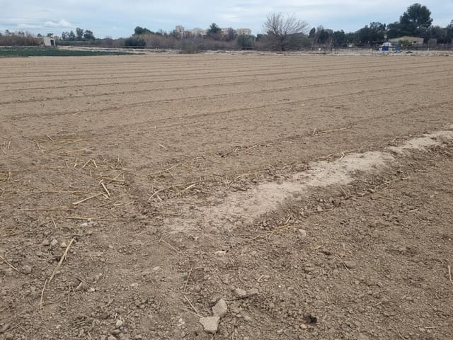 Ubebygd land til salgs i Guardamar del Segura - € 45 000 (Ref: 9437921)