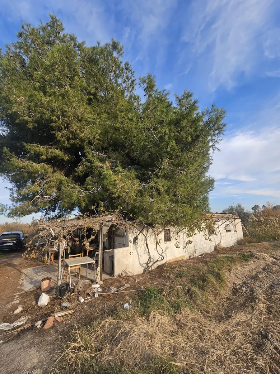 Terreno/Finca Rústica en Dolores en venta - 32.000 € (Ref: 9446453)