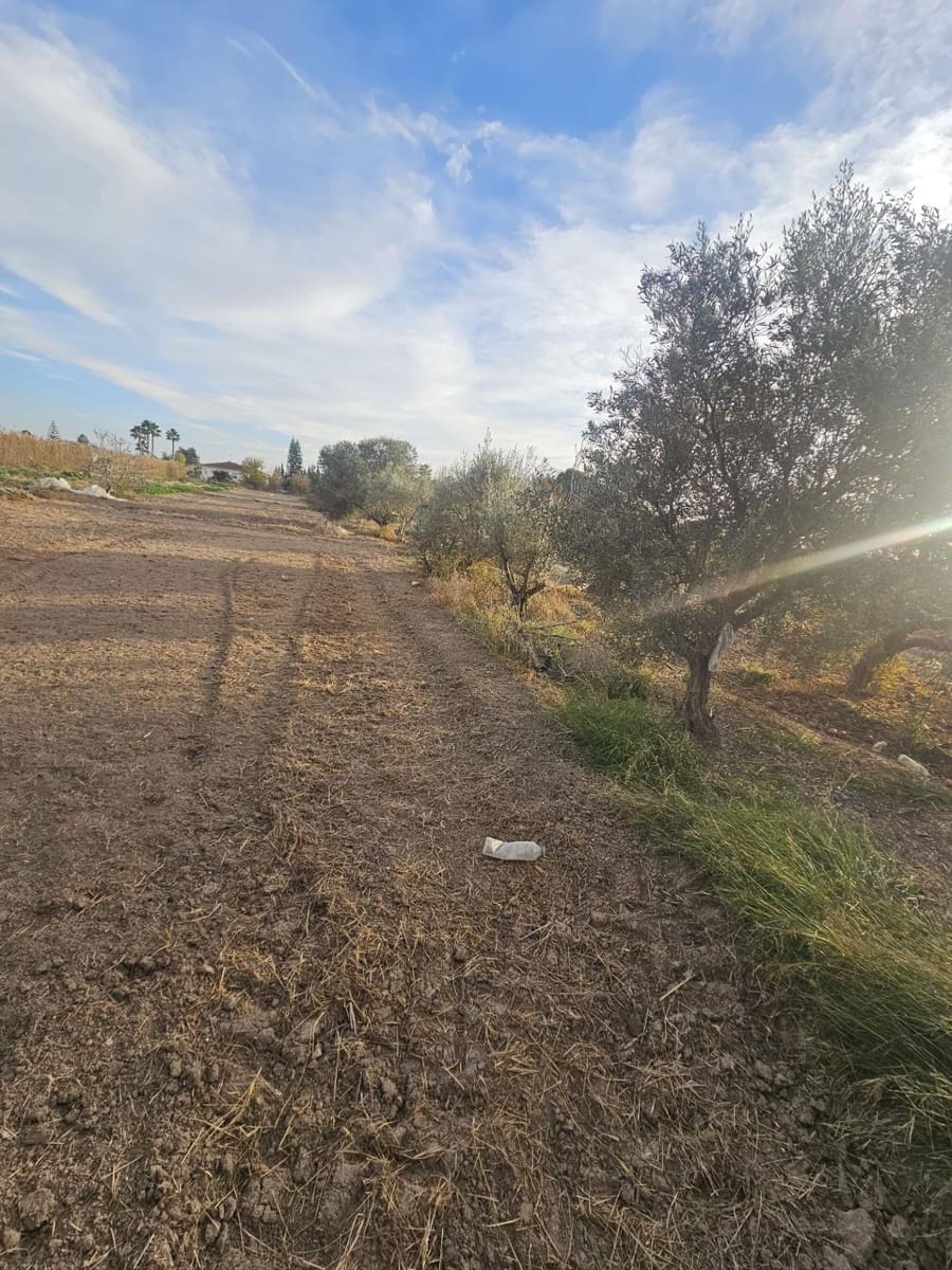 Terreno/Finca Rústica en Dolores en venta - 32.000 € (Ref: 9446453)