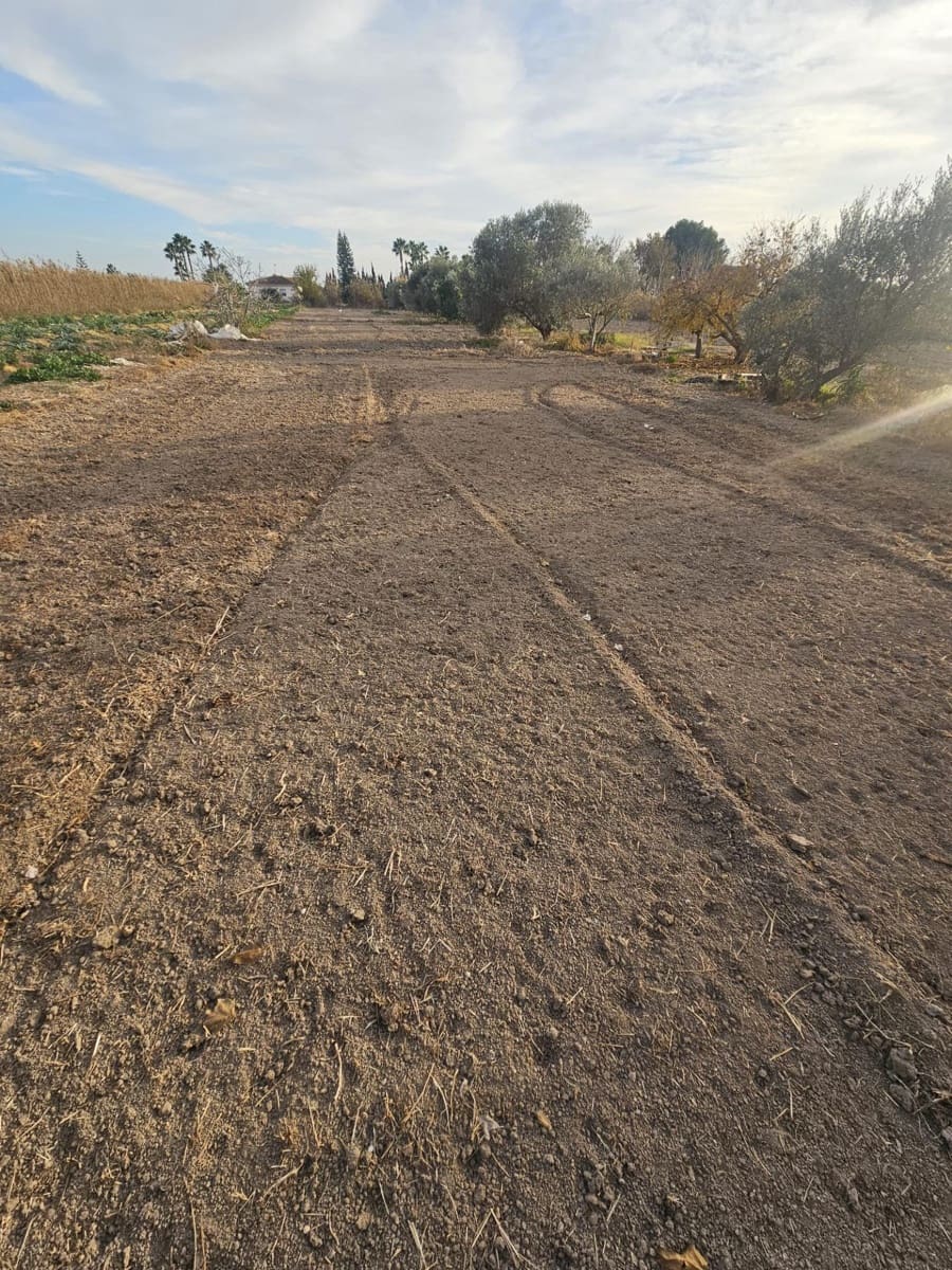 Terreno/Finca Rústica en Dolores en venta - 32.000 € (Ref: 9446453)