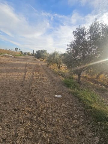 Terreno/Finca Rústica en Dolores en venta - 32.000 € (Ref: 9446453)
