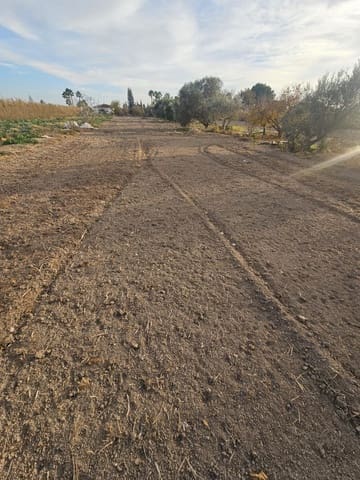 Terreno/Finca Rústica en Dolores en venta - 32.000 € (Ref: 9446453)