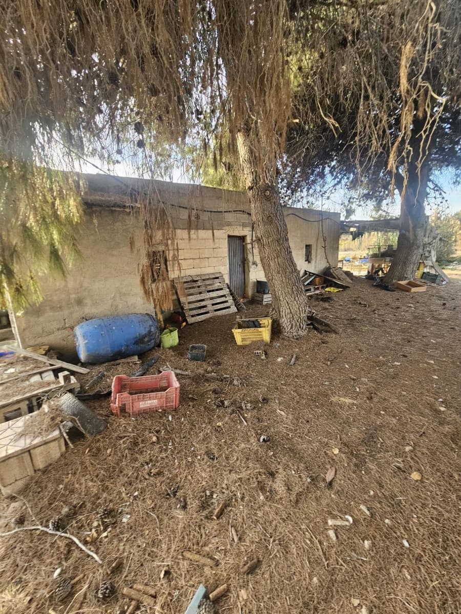 Terreno/Finca Rústica en Dolores en venta - 32.000 € (Ref: 9446453)