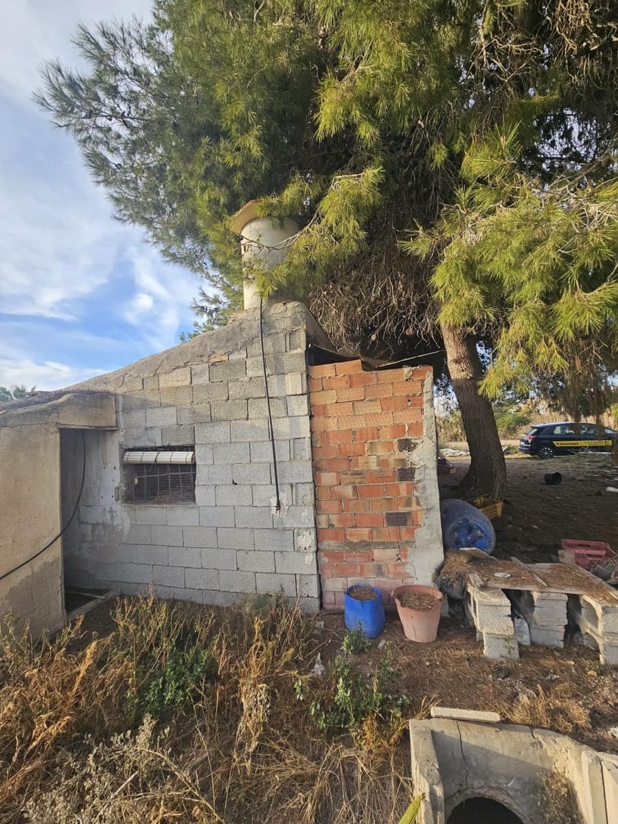 Terreno/Finca Rústica en Dolores en venta - 32.000 € (Ref: 9446453)